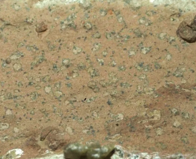 leopard-spots_poppy-seeds_Mars.png